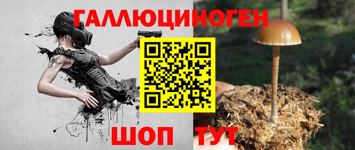 Галлюциногенные грибы мухоморы Касимов