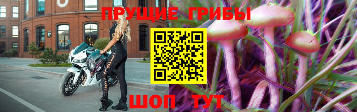 Галлюциногенные грибы Cubensis  Вход с VPN  Касимов  Галлюциногенные грибы GOLDEN TEACHER 